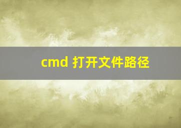 cmd 打开文件路径